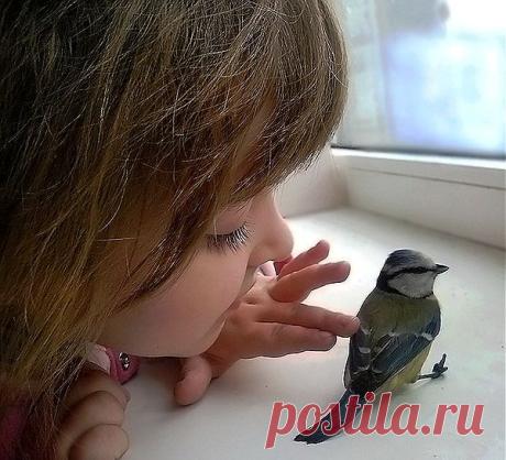 Хиты Французского Шансона.