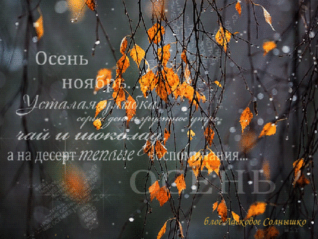 Фото группы - 21432 фото. Сообщество ❤ТЕПЛО МОЕЙ ДУШИ❤ - группы Мой Мир.