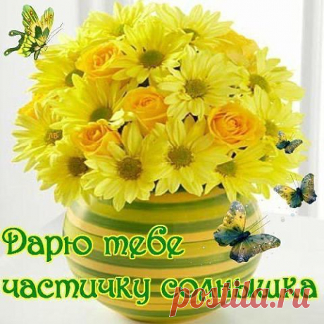 Сообщения