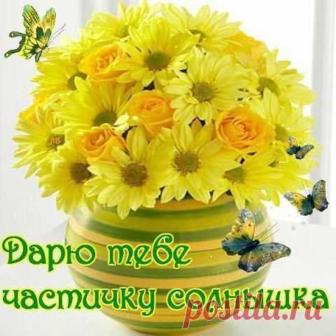 Сообщения