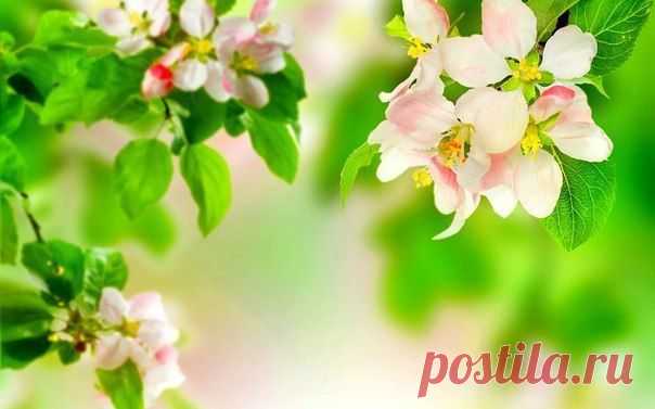 Секреты женской красоты
