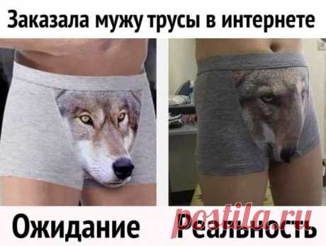 Районы-кварталы, живые пингвины Я мандарин, мандарин, красивый. - Выпуск №2204 — Вокруг смеха