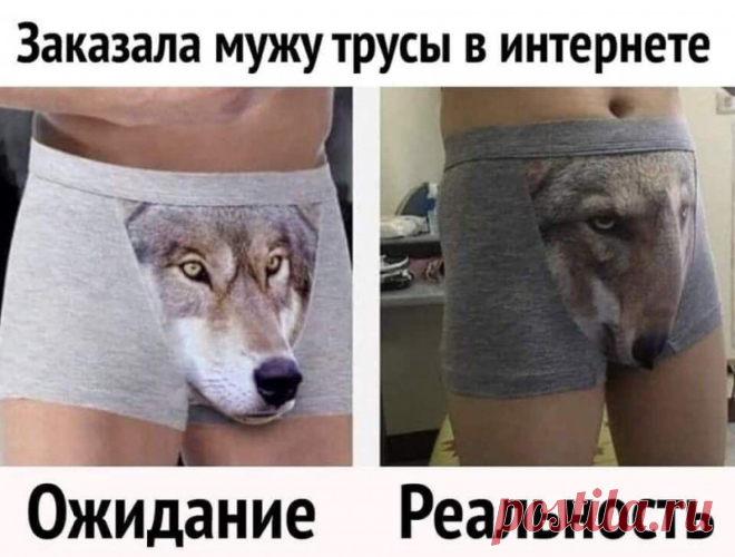 Районы-кварталы, живые пингвины Я мандарин, мандарин, красивый. - Выпуск №2204 — Вокруг смеха