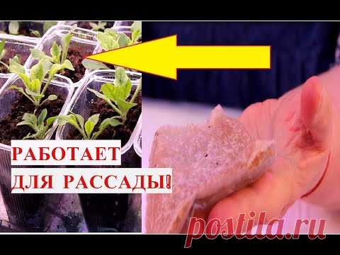 БЕРУ СВОИ СЛОВА ОБРАТНО! ЭТОТ СПОСОБ ДЕЙСТВИТЕЛЬНО РАБОТАЕТ! ПРОВЕРЕНО!