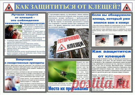 Наступило лето, не омрачите его опасными ситуациями на природе - 10 Июня 2010 - Блог - ОСШ№21 г.Темиртау