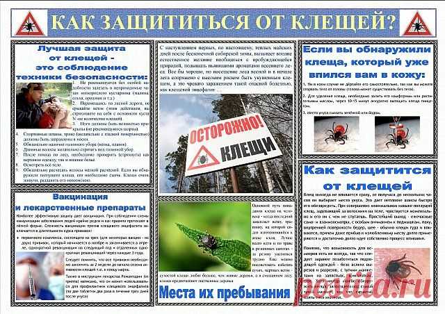Наступило лето, не омрачите его опасными ситуациями на природе - 10 Июня 2010 - Блог - ОСШ№21 г.Темиртау