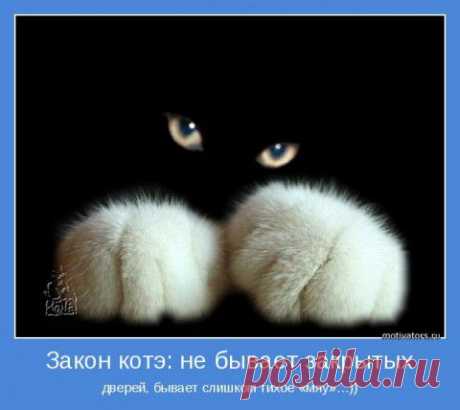 Мотваторы- порция позитива... | МАЛЕНЬКАЯ СТРАНА МС