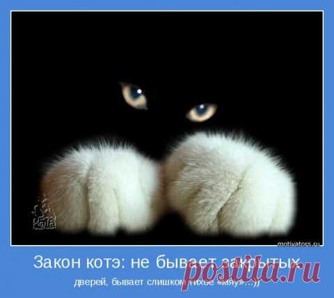 Мотваторы- порция позитива... | МАЛЕНЬКАЯ СТРАНА МС