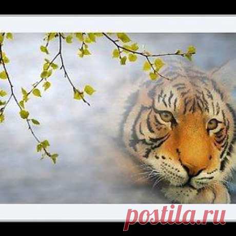 Юрий