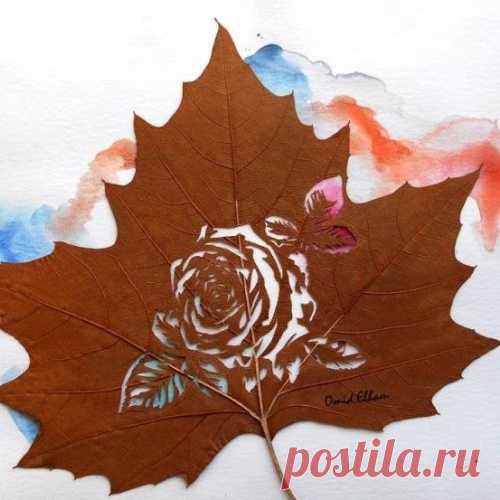 Вот что можно сделать из обычного листа дерева. И это еще далеко не всё…