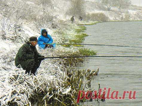 Плотва перед ледоставом - МирТесен