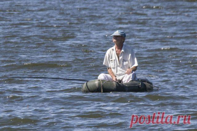 5 самых удачных мест для майской рыбалки в Волгоградской области | ОБЩЕСТВО: Экология | ОБЩЕСТВО | АиФ Волгоград