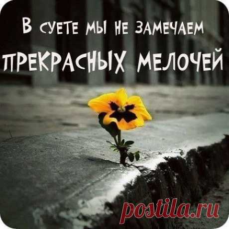 Работа в интернете