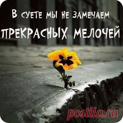 Работа в интернете