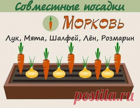 Анна Патренкова