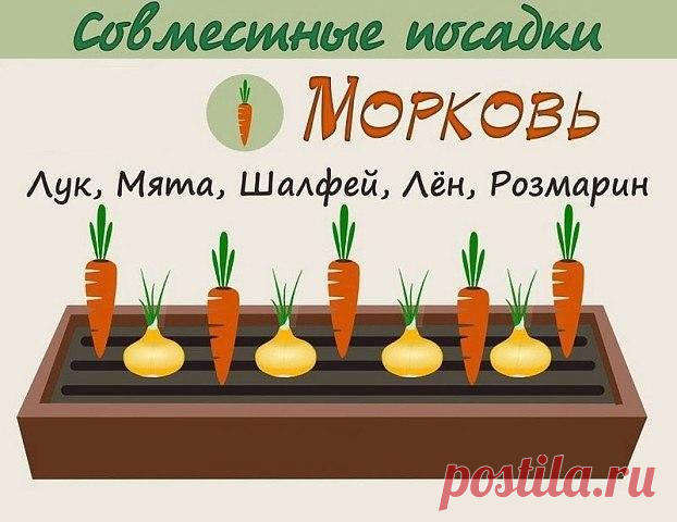 Анна Патренкова