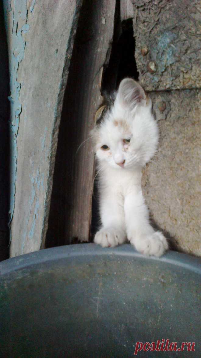 Просто застрял в щели))