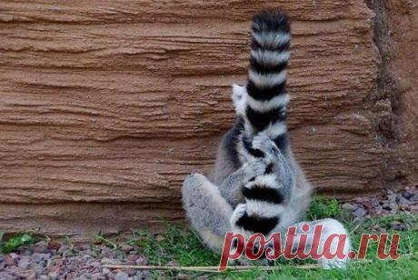 Интересные новости