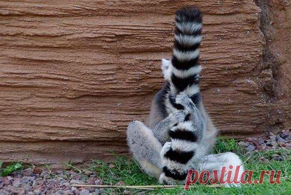 Интересные новости