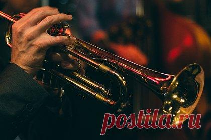 В трех городах России пройдет антистресс-фестиваль джаза для любителей кошек. В трех городах России — Пензе, Самаре и Ульяновске — с 28 по 30 июля пройдет большой антистресс-фестиваль «Кошкин джаз». Организаторы называют мероприятие первым в истории джаз-фестивалем с «кошачьим лицом» и первым событием, которое свяжет в единое культурное пространство три города Центральной России.