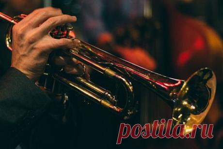 В трех городах России пройдет антистресс-фестиваль джаза для любителей кошек. В трех городах России — Пензе, Самаре и Ульяновске — с 28 по 30 июля пройдет большой антистресс-фестиваль «Кошкин джаз». Организаторы называют мероприятие первым в истории джаз-фестивалем с «кошачьим лицом» и первым событием, которое свяжет в единое культурное пространство три города Центральной России.