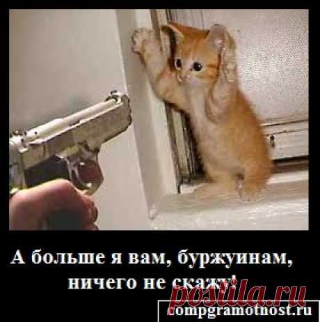 Сохранение паролей