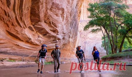 Experience Arizona’s awe-inspiring natural wonders | Trip By Tripadvisor Bask in the breathtaking natural wonders of Flagstaff. From rippling red slot canyons to magnificent celestial displays, this trip invites you to experience the not-so-hidden gems of the sprawling Northern Arizona landscape.