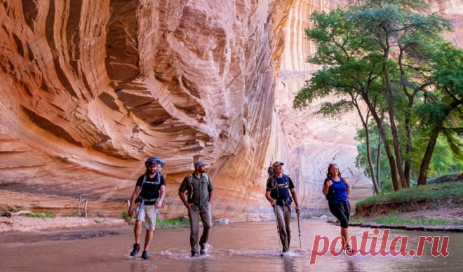 Bask in the breathtaking natural wonders of Flagstaff. From rippling red slot canyons to magnificent celestial displays, this trip invites you to experience the not-so-hidden gems of the sprawling Northern Arizona landscape.