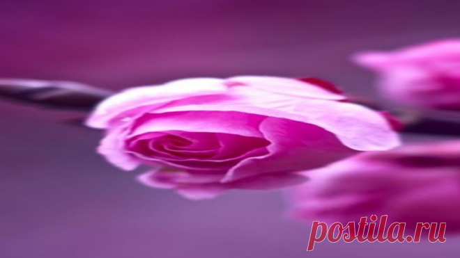 3d flower in micro v - im.gg