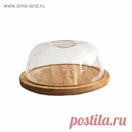 Сырница, 19x7,5 см (2378960) - Купить по цене от 262.01 руб. | Интернет магазин SIMA-LAND.RU