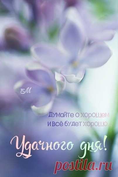 Потерять человека так легко.

Звонишь, звонишь - не отвечает. Или телефон отключен. Абонент выключил телефон или находится вне зоны действия сети, - так говорит чужой равнодушный голос. И в интернет не выходит человек, нет его в сети.

И сначала тревожишься, потом - сердишься. А потом начинаются плохие мысли и страх. Может быть, он скоро найдётся! И тревога отляжет от сердца. Может быть, придётся его искать, бегать, спрашивать, звонить знакомым... И с каждым отрицательным ...