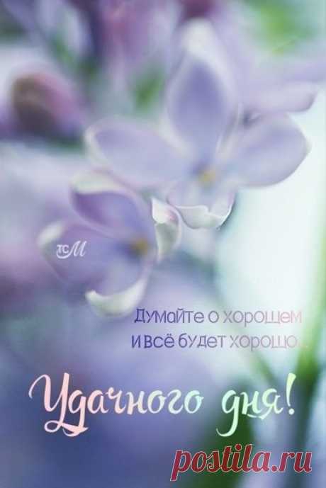 Потерять человека так легко.

Звонишь, звонишь - не отвечает. Или телефон отключен. Абонент выключил телефон или находится вне зоны действия сети, - так говорит чужой равнодушный голос. И в интернет не выходит человек, нет его в сети.

И сначала тревожишься, потом - сердишься. А потом начинаются плохие мысли и страх. Может быть, он скоро найдётся! И тревога отляжет от сердца. Может быть, придётся его искать, бегать, спрашивать, звонить знакомым... И с каждым отрицательным ...