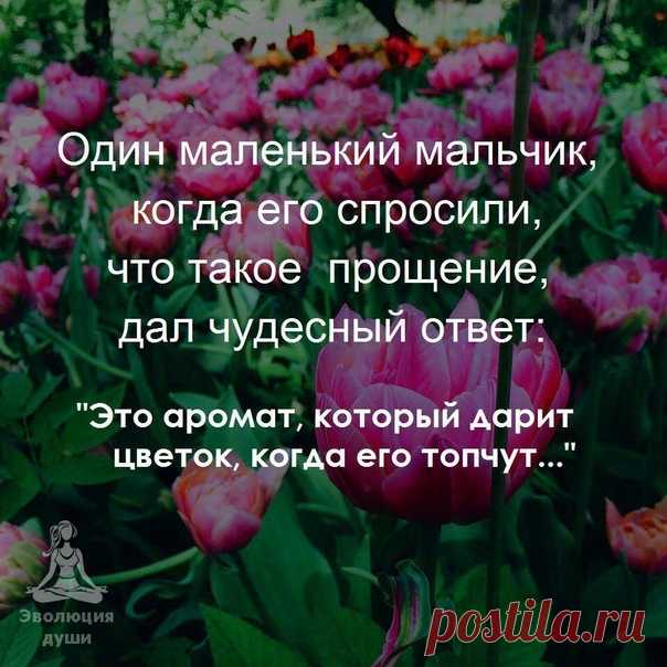 Эволюция души
