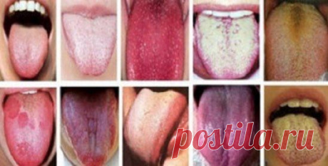 * * * * * * * * * * * *