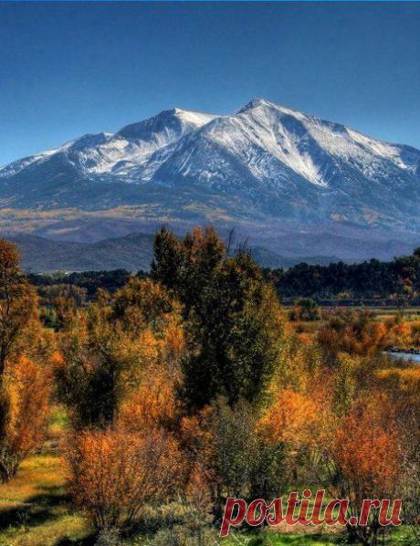 Фотографии на стене сообщества | 31 368 фотографий