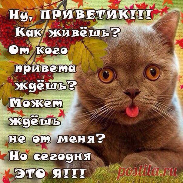 Открытка привет подружка . Привет открытки с надписью