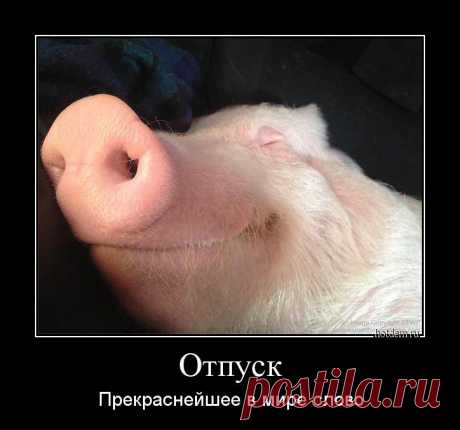 Солянка для Майдана. Часть 39 - Фишки.нет