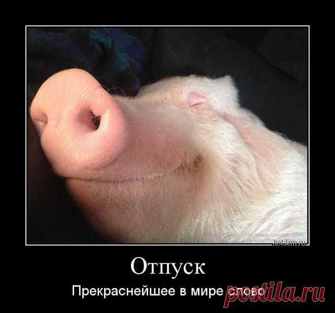 Солянка для Майдана. Часть 39 - Фишки.нет