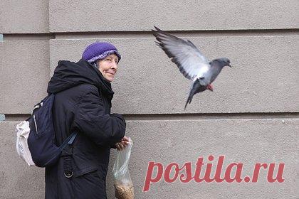 Назван главный минус идеи поднять минимальную пенсию в России