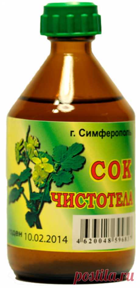 Чистотел. Лечебные свойства и применение чистотела в народной медицине.