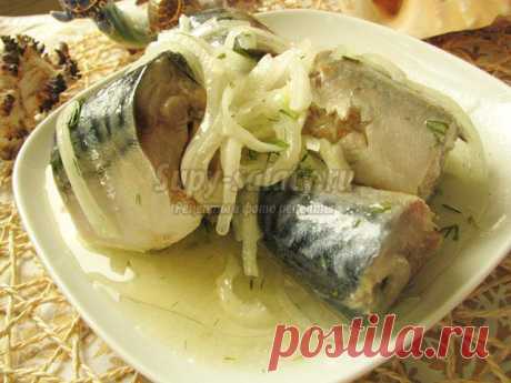 Маринованная скумбрия в домашних условиях. Рецепт с пошаговыми фото