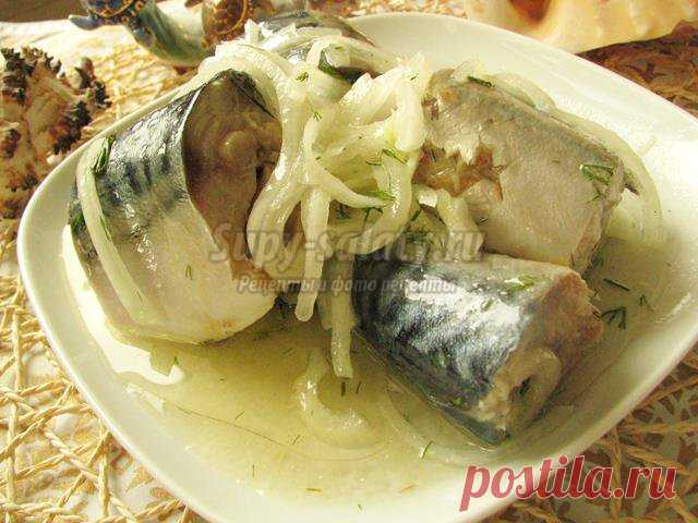 Маринованная скумбрия в домашних условиях. Рецепт с пошаговыми фото