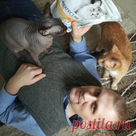 На изображении может находиться: один или несколько человек и кот