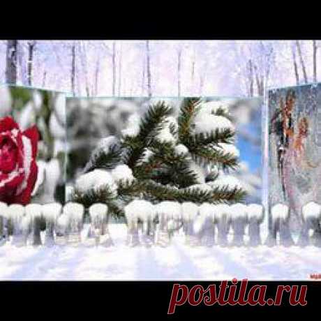 Интересные новости