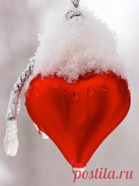 Тепло и свет моей Души примите в дар ...
Взамен ? Ну разве только доброе словечко 
Наградой станет мне , коль мой Душевный жар
Согреет хоть одно замёрзшее Сердечко ... _