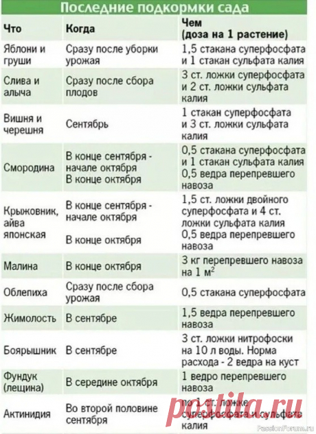 Дачникам. Последние подкормки сада