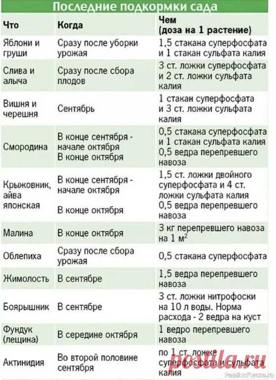 Дачникам. Последние подкормки сада