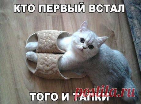 (157) Фото из публикации Сергея Чевычелова в laughter - Сергей Чевычелов