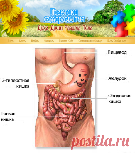 Центр "Дар Миру": практики саморазвития духа, души, тела, разума