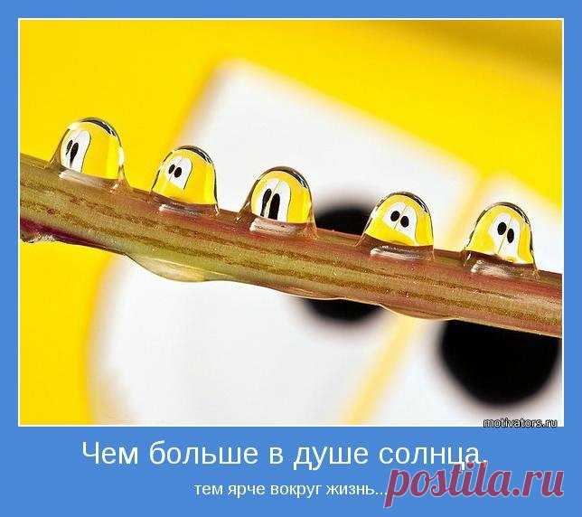 Позитивные картинки со смыслом (42 фото) ⭐ Забавник